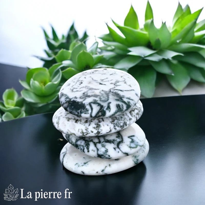 Galet plat en Agate Mousse, pierre de lithothérapie pour l&