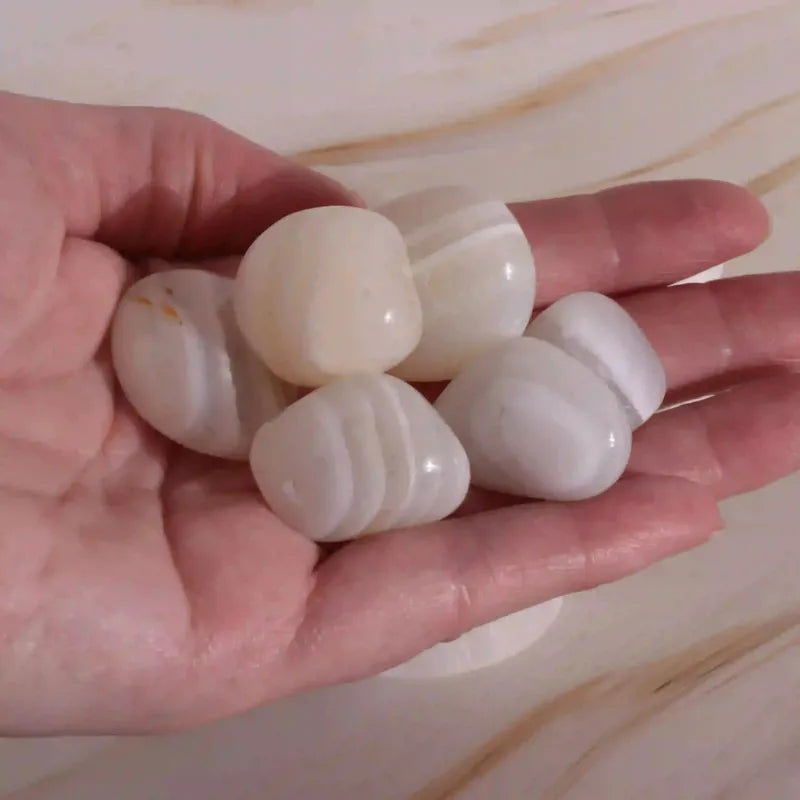 Agate blanche zonée, Lot de 4 pierres roulées - La Pierre FR