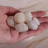 Agate blanche zonée, Lot de 4 pierres roulées - La Pierre FR