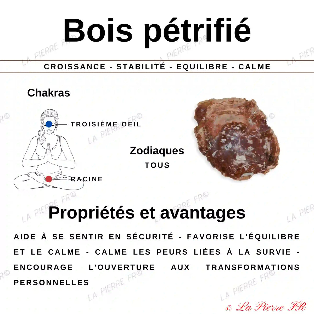 Pierre en Bois fossilisé (Pétrifié / Silicifié)