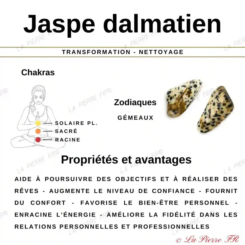 Bracelet pierre naturelle Jaspe Dalmatien - La Pierre FR