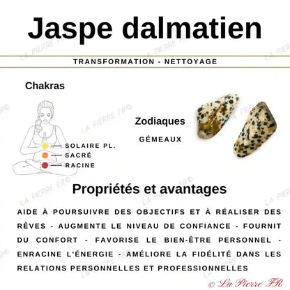 Bracelet pierre naturelle Jaspe Dalmatien - La Pierre FR