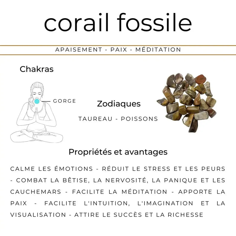 Collier pierres naturelles en Corail fossile - La Pierre FR