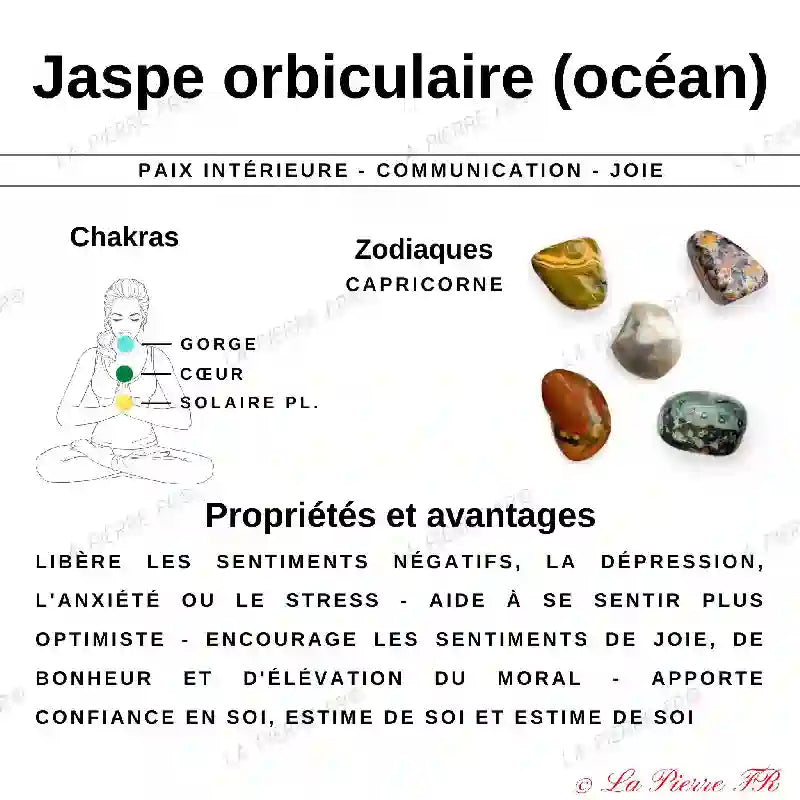 Pierre en Jaspe Orbiculaire - Forme libre