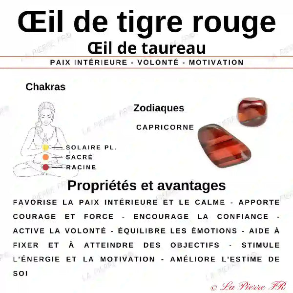 Œil de Taureau en Galet Plat - Pierre Protectrice et Stimulante