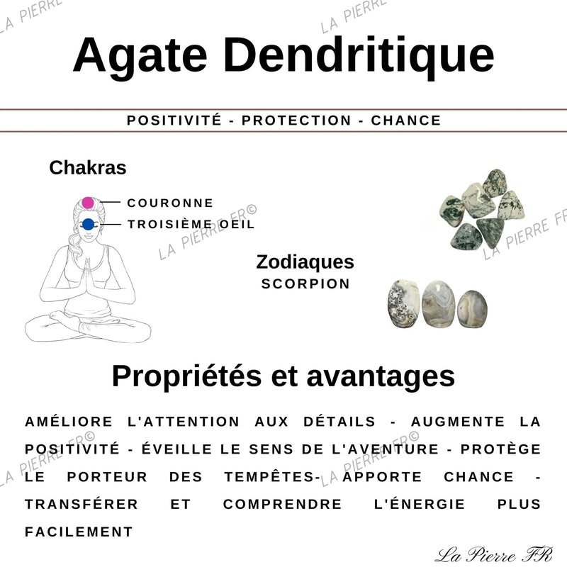 Pierre Agate Dendritique - Lot de 4 Pierres Roulées