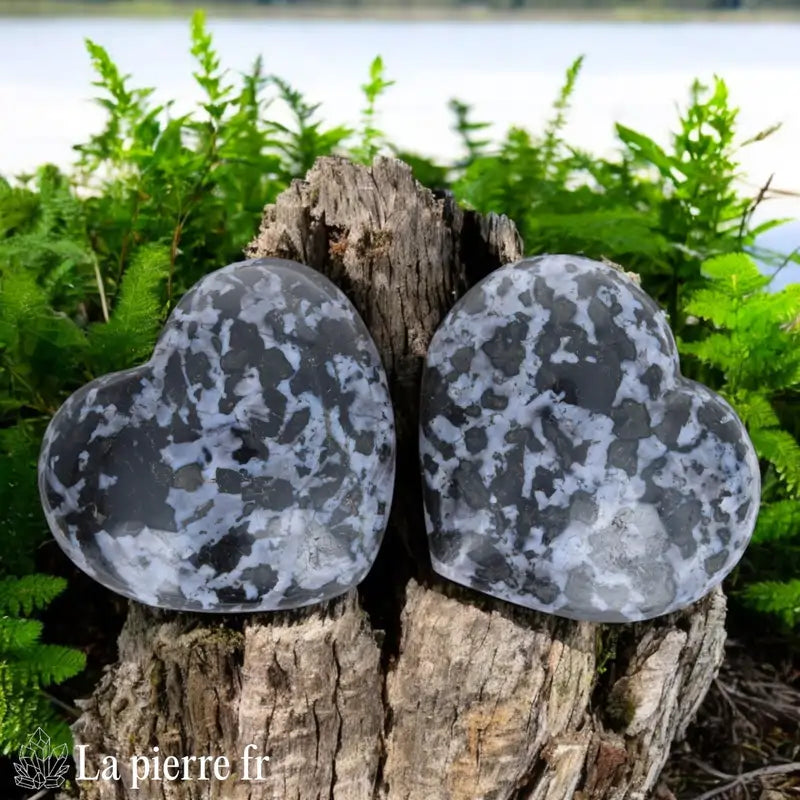 Cœur en Gabbro Indigo taillé à la main, pierre naturelle marbrée de noir et de gris, idéale pour la lithothérapie et la méditation.