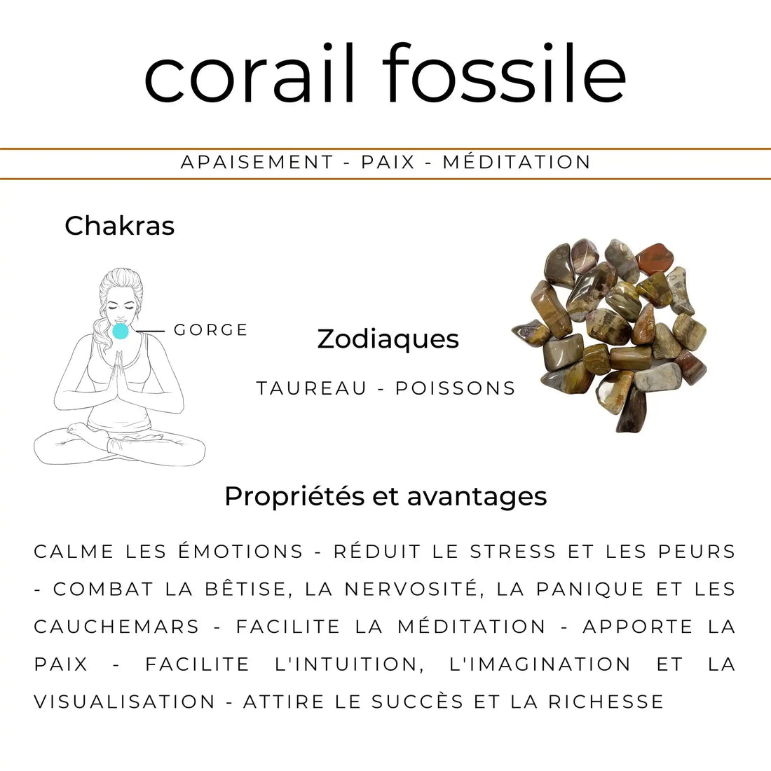 Vertus du Collier pierres naturelles en Corail fossile 