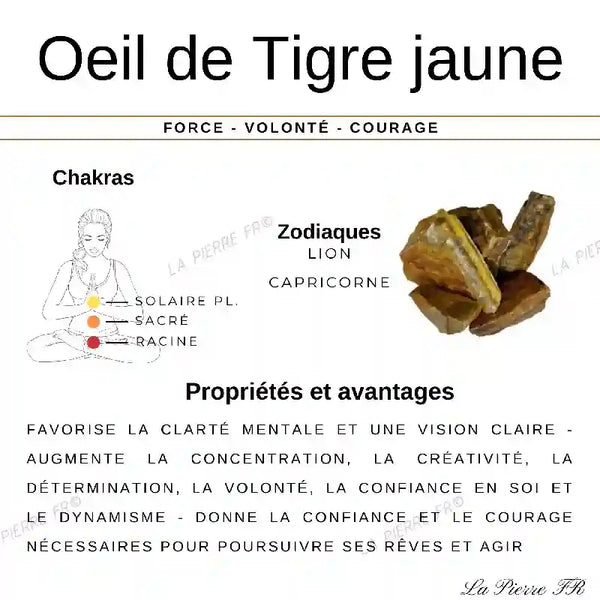 Bague Œil de Tigre en Argent rhodié (Énigmatique)