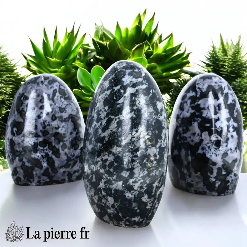 Pierre naturelle en Gabbro Merlinite pour lithothérapie - Idéale pour développer l'intuition