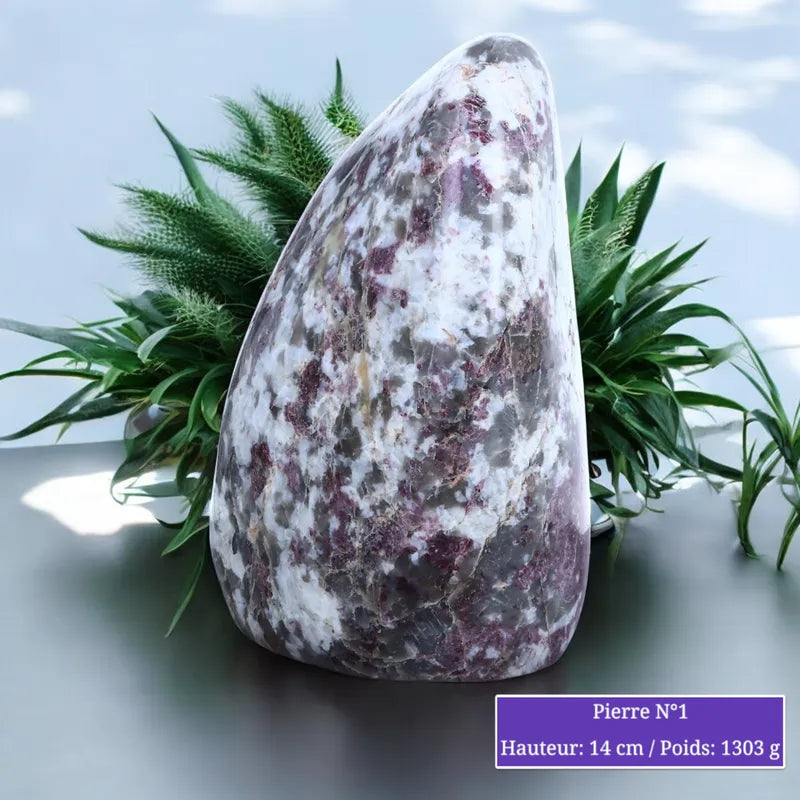 Pierre en Tourmaline Rubellite - Forme libre
