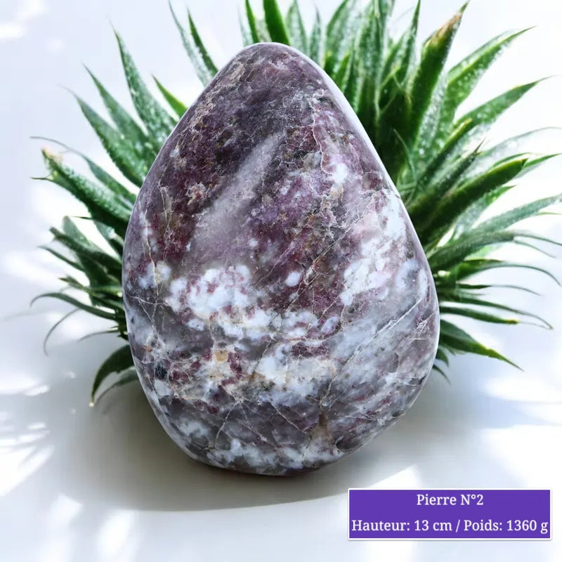 Pierre en Tourmaline Rubellite - Forme libre
