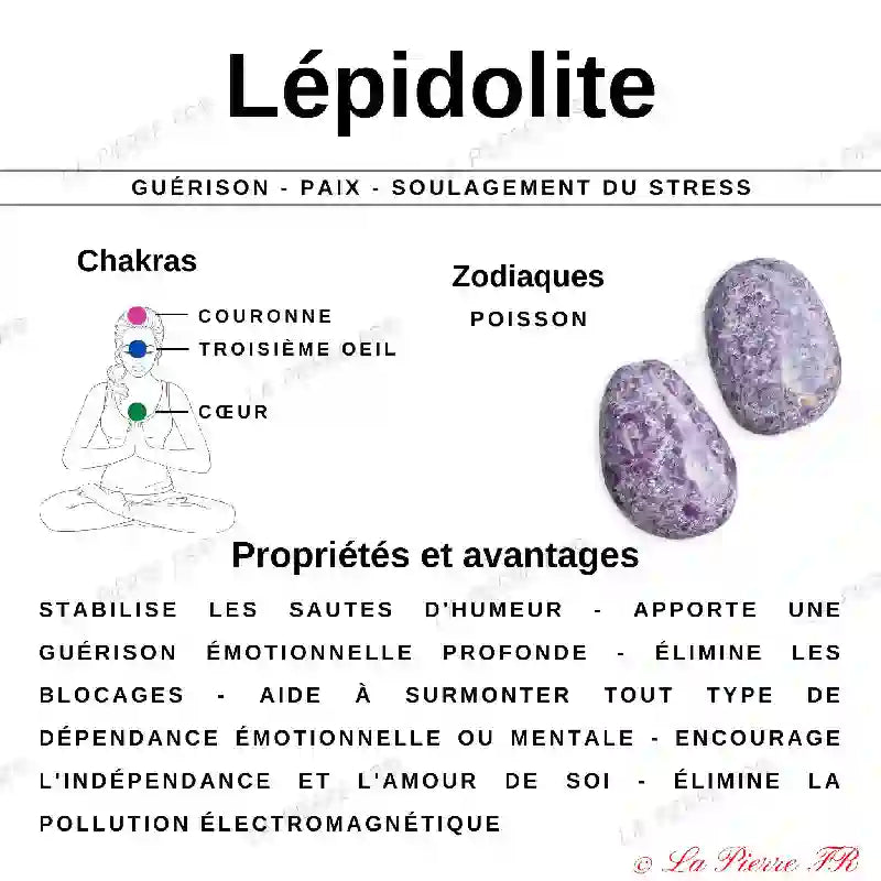 Pierre en Lépidolite violette - Forme libre