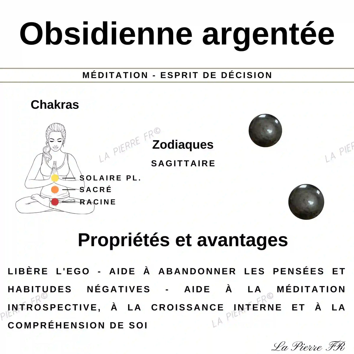 Pierre en Obsidienne Argentée - Forme Libre