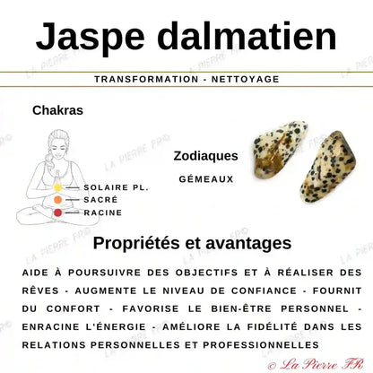 Perles Jaspe Dalmatien en pierre naturelle ronde 4/6/8/10 mm de Qualité AAA, pour la création de bijoux et lithothérapie